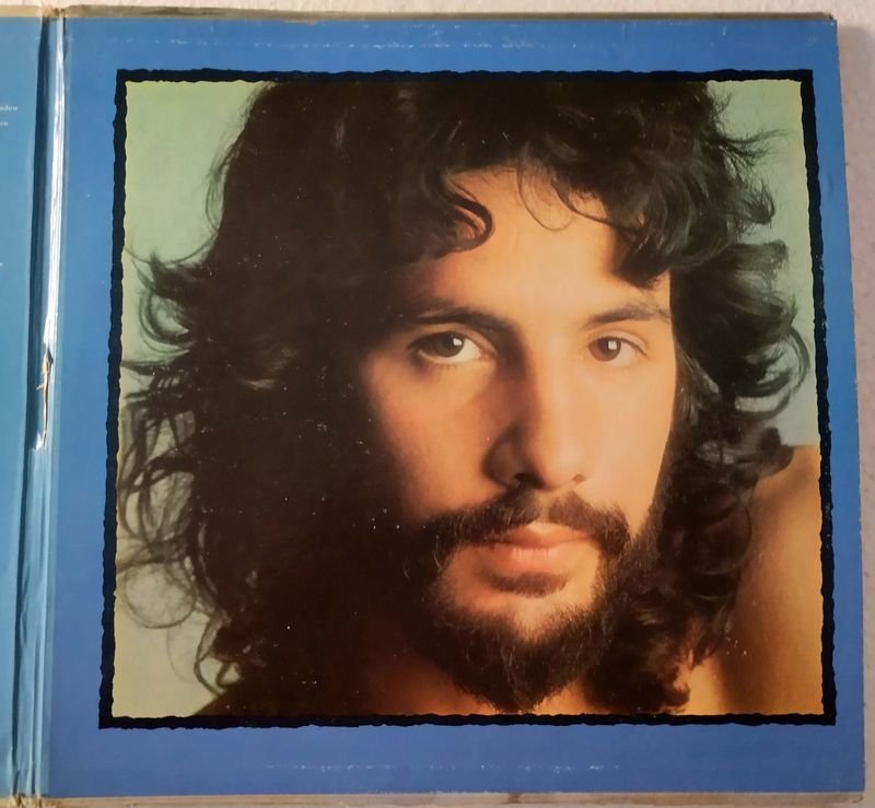 Cat Stevens: Teaser and the Firecat LP Importado USA, 1971 - imagen 3