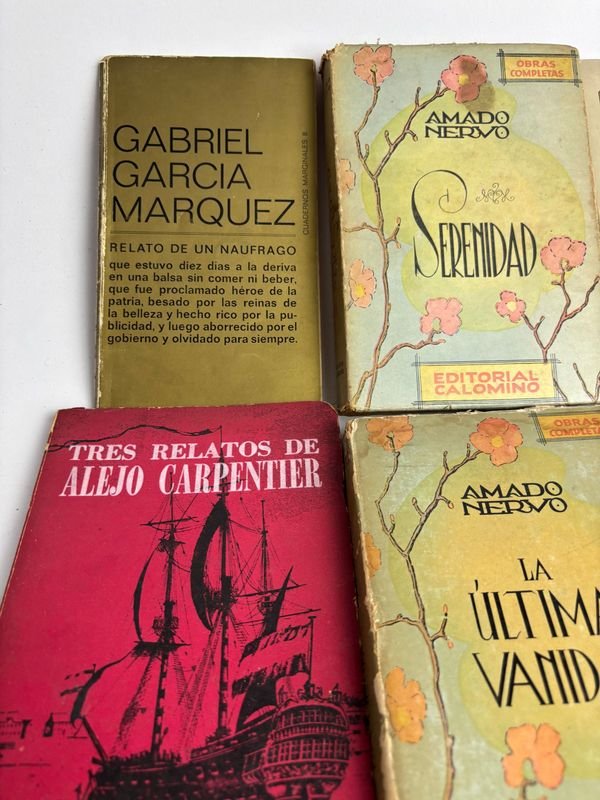 Colección de libros de literatura latinoamericana y universal - imagen 7