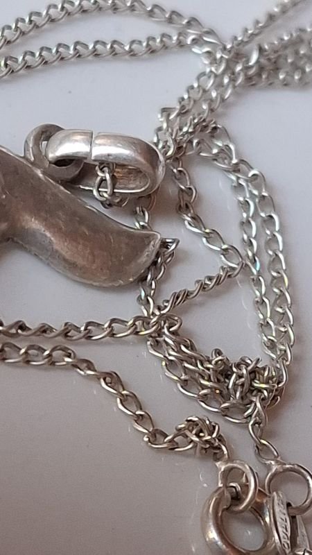 Cadena de plata larga con dije - imagen 4