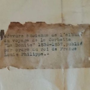 Litografía Antigua "La Bonita" 1836-1837 por Luis Felipe de Francia - imagen 2