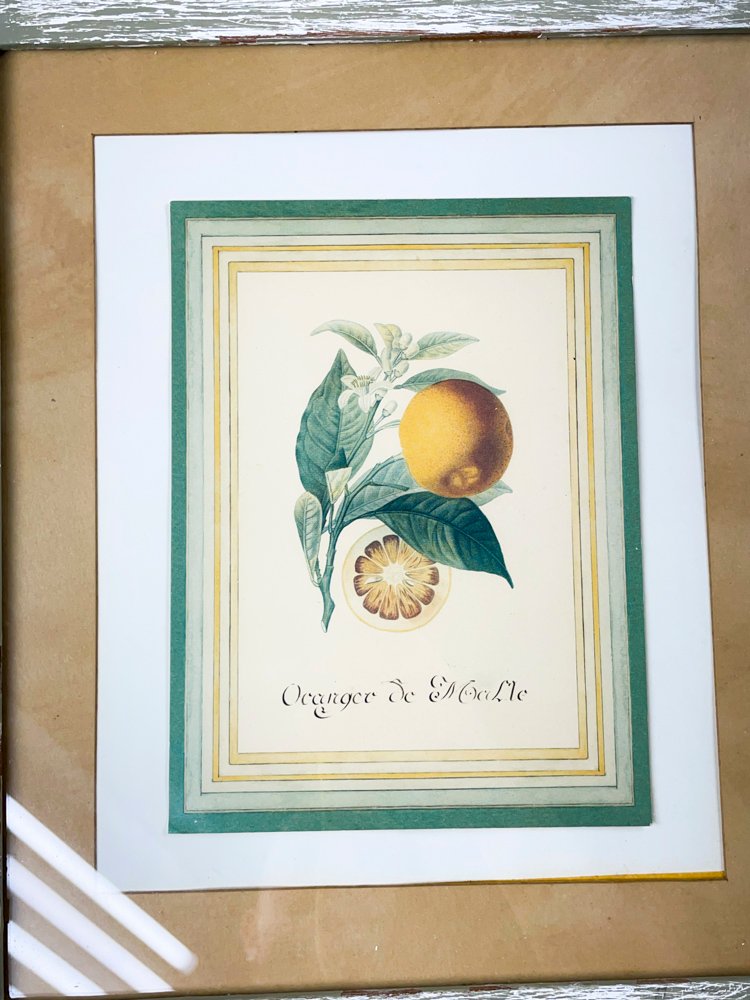 Item 495780 - Image 2