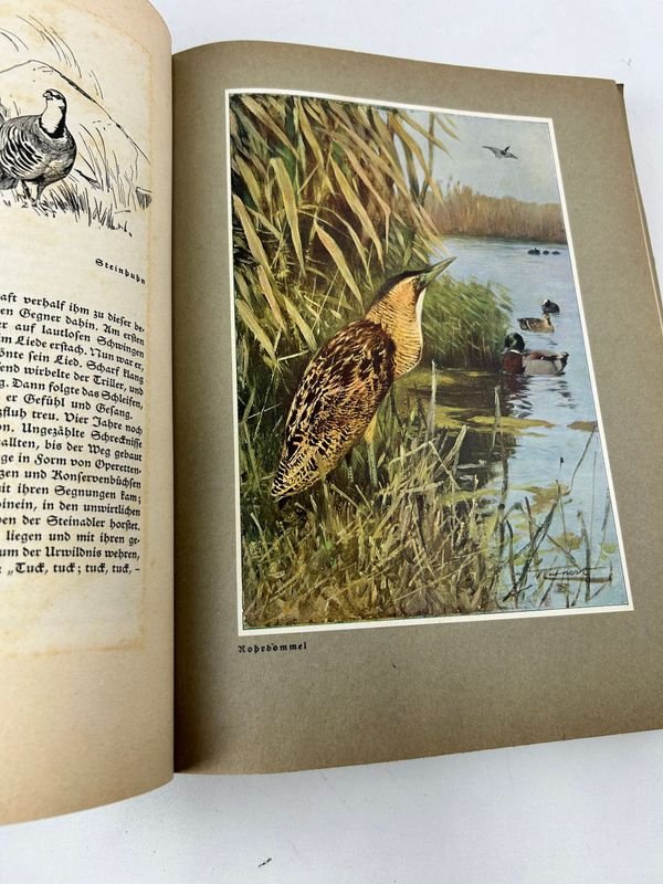 Libro sobre naturaleza y vida silvestre, Bosque y pradera, de Paul von Tschudi - imagen 8