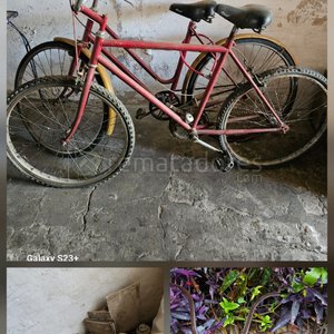 Lote siguiente: Bicicletas Antiguas y Mueble de Hierro Forjado