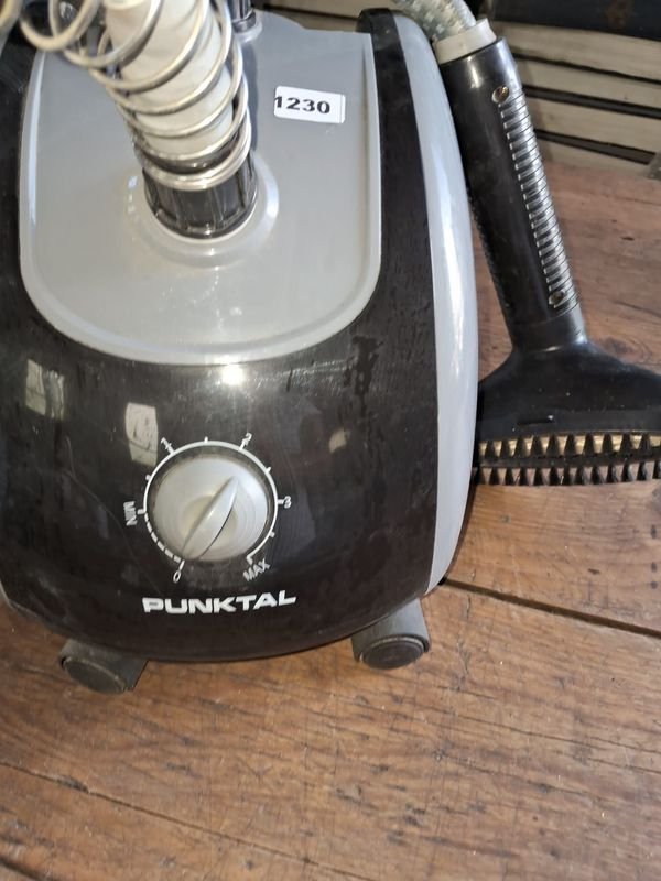 Plancha a vapor vertical Punktal para venta - imagen 5