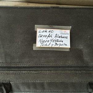Saxofón Alabama Dorado con Estuche - imagen 14