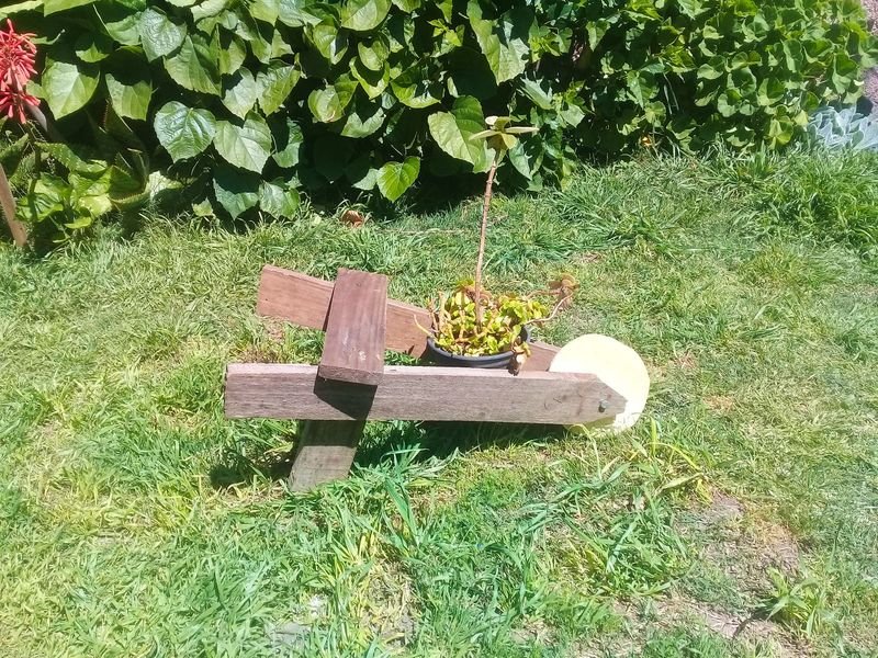 Maceta de jardín estilo carretilla en madera - imagen 2