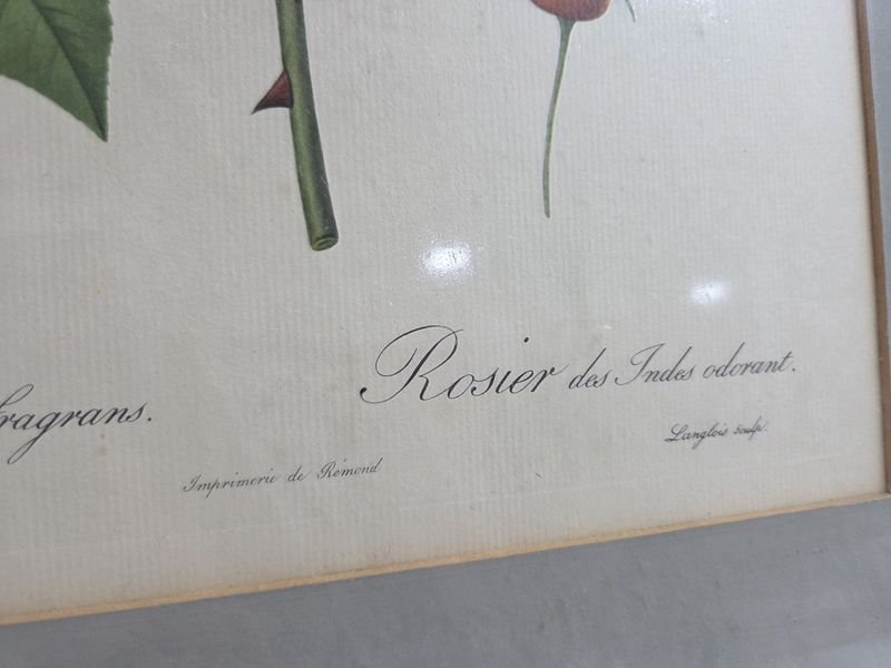 Item 829950 - Image 3