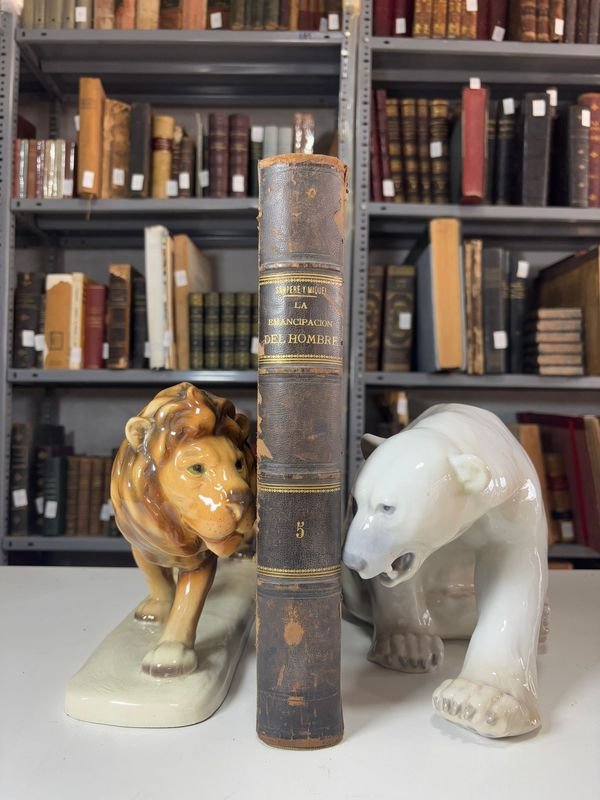 Item 885488 - Image 0