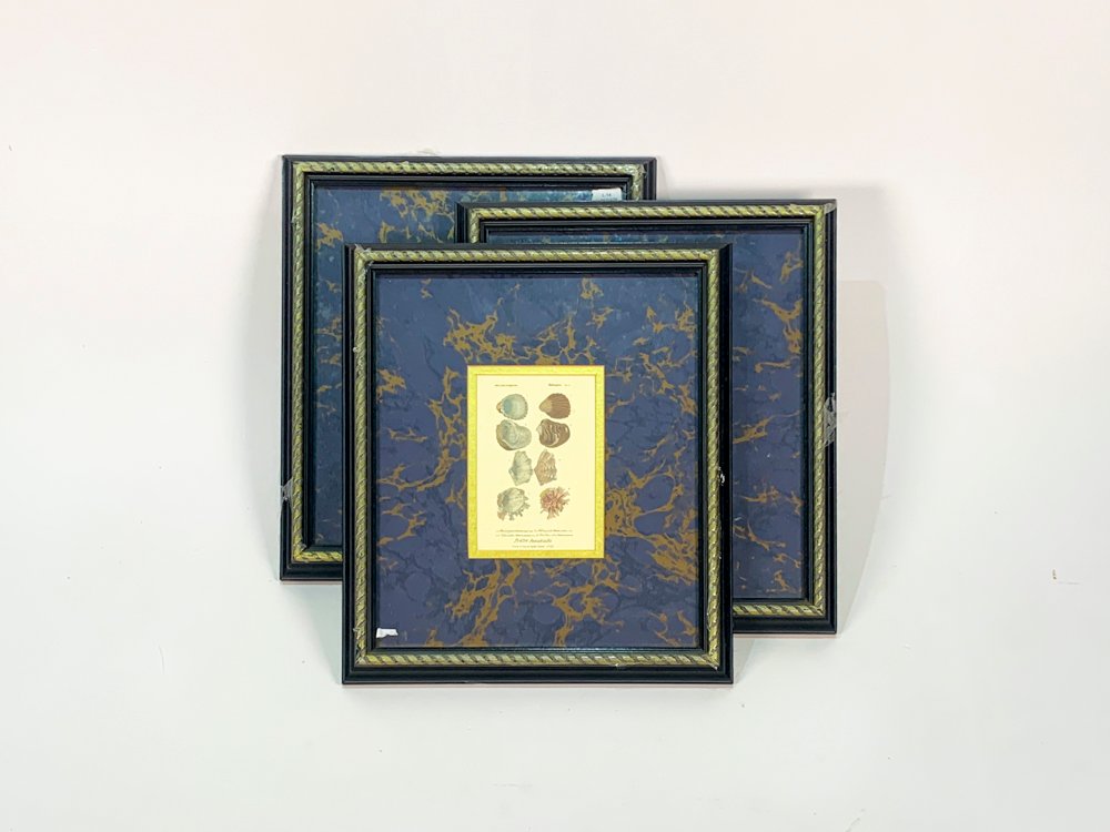 Item 494883 - Image 0