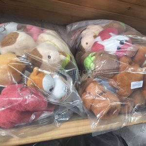 Lote siguiente: Lote de Peluches Variados