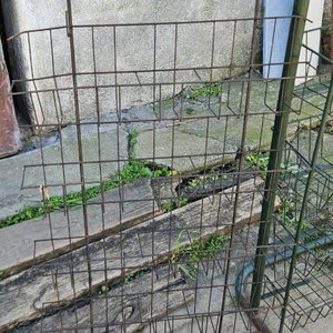 Lote siguiente: Lote: 4 exhibidores metálicos