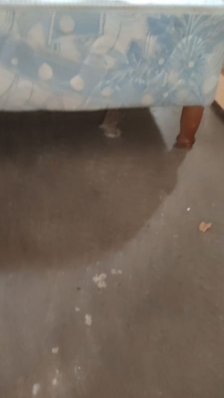 Item 880492 - Image 1