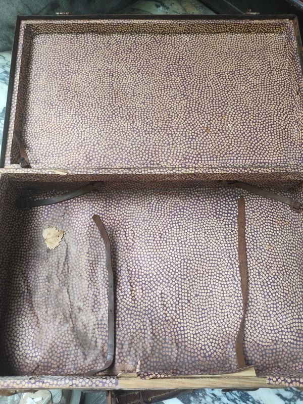 Item 878121 - Image 2