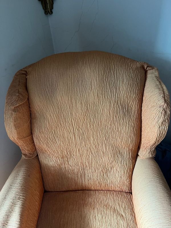 Sillón bergere con funda de cuero - imagen 2