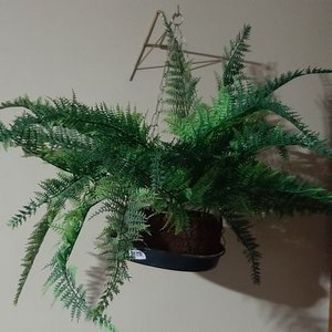 2 Plantas Artificiales Decorativas con Macetas - imagen 2