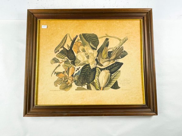 Cuadro "Black billed Cuckoo" Flores y Aves, 1937
