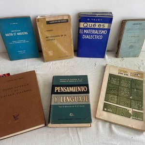 Lote de Libros: Gramática, Pensamiento, Lenguaje y Dialéctica - imagen 1