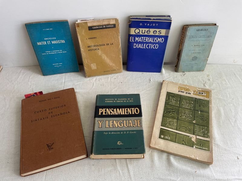 Lote de Libros: Gramática, Pensamiento, Lenguaje y Dialéctica