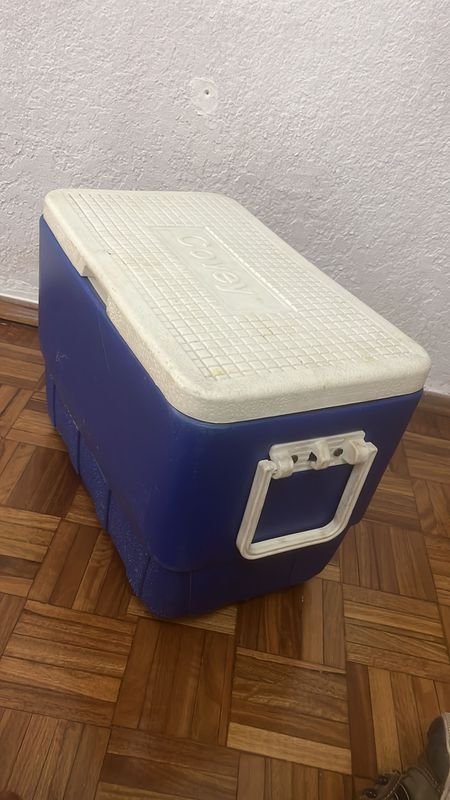 Lote siguiente: Conservadora marca Covey