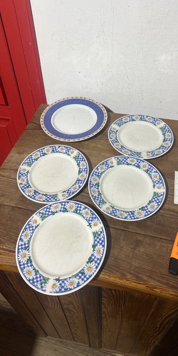 Juego de 5 Platos con Borde Azul y Flores Blancas