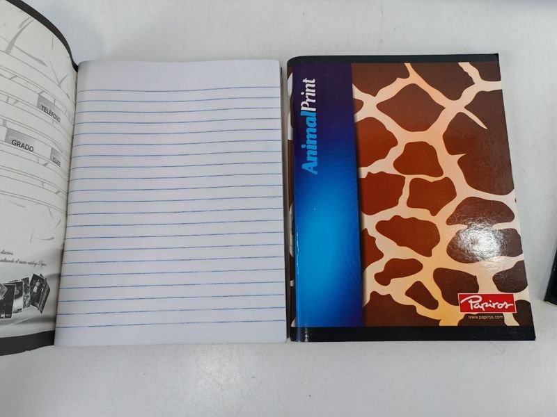 Cuadernos Sueltos para Estudio y Dibujo - imagen 7