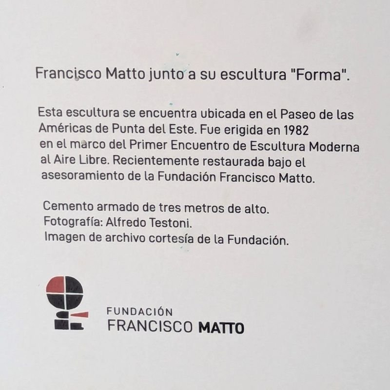 Reproducción de fotografía de Alfredo Testoni por la Fundación Francisco Matto - imagen 3