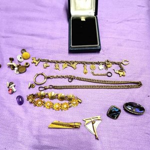 Lote de Prendedores, Pulseras y Dijes Variados - imagen 2
