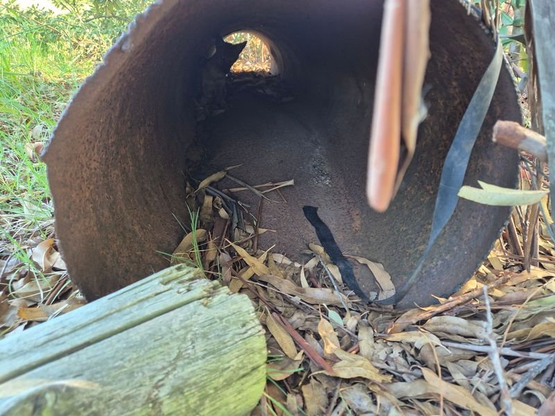 Tuberías de riego en hierro para jardinería - imagen 3