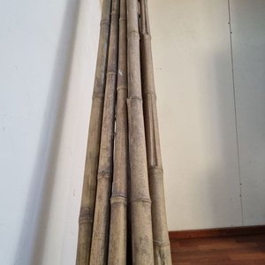 9 Cañas de Bambú Naturales de 4.10 m para Decoración y Jardinería - imagen 3