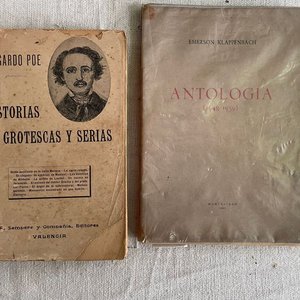 Colección de Libros: Shakespeare, Poe, Rodó y Travers - imagen 2