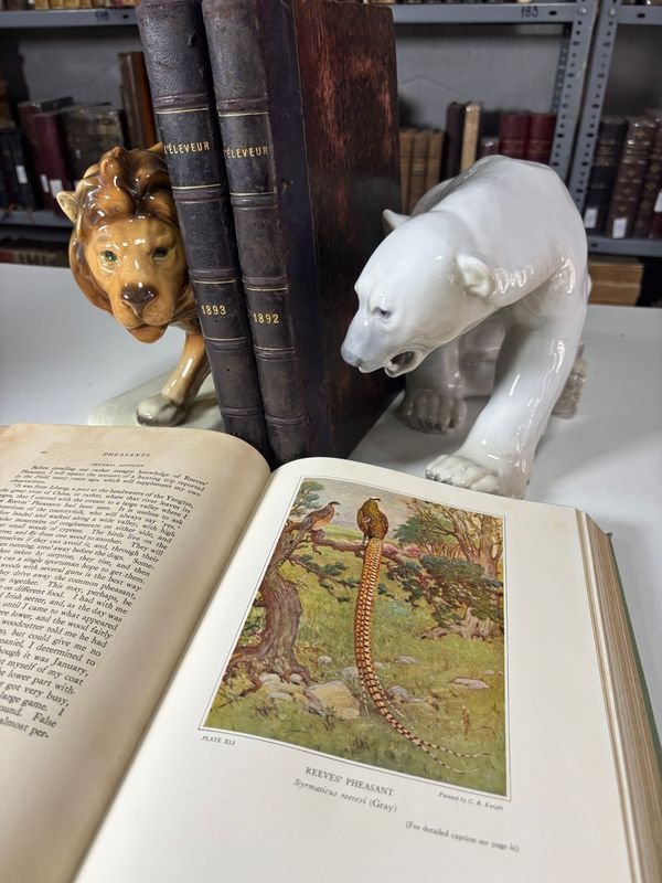 Item 879311 - Image 5