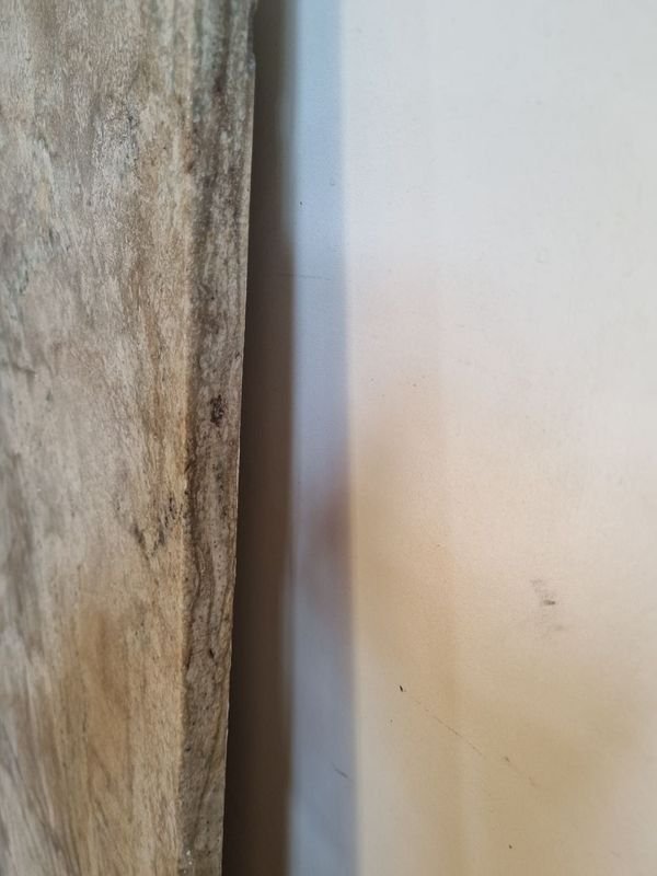 Item 866796 - Image 5