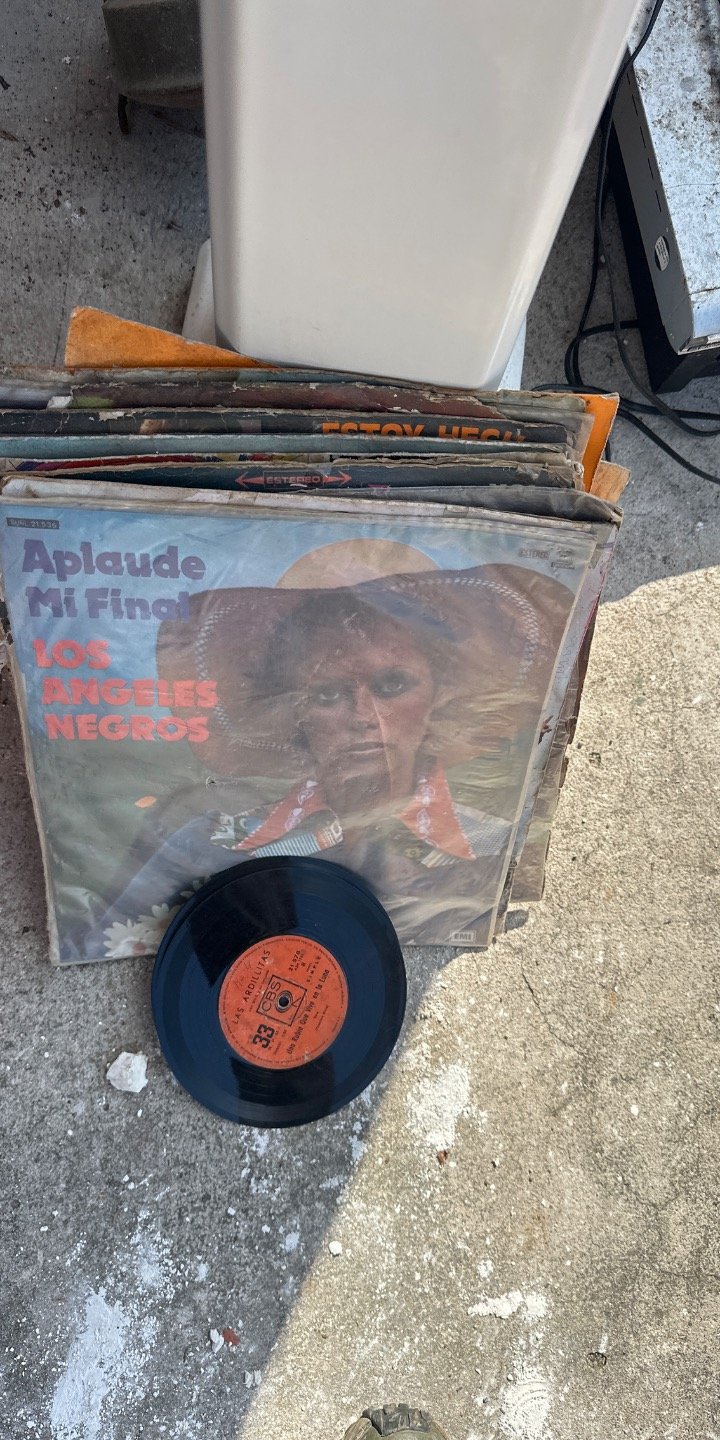 Lote de Discos de Vinilo Antiguos