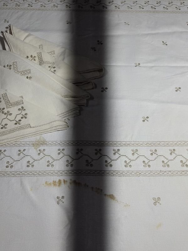 Mantel bordado con servilletas de mesa - imagen 7