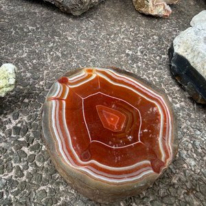 Conjunto Decorativo de Rocas, Minerales y Caracol Marino - imagen 2