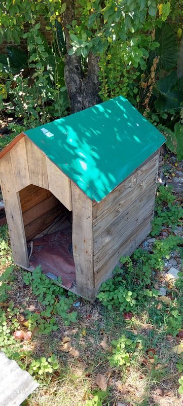 Casa de perro en madera con techo verde - imagen 2