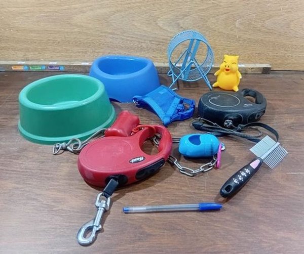 Lote Variado de Accesorios para Mascotas: Comederos, Correas y Rueda