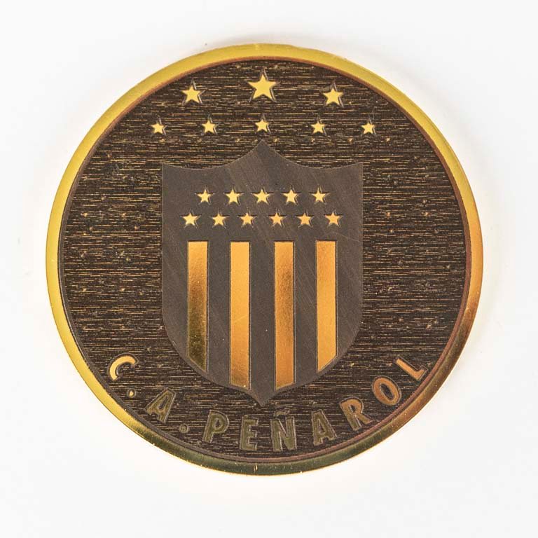 Lote anterior: Medalla de Peñarol de bronce - Campeón Urugauyo 2024