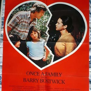 Lote siguiente: Poster Original de Cine "Unas Vidas Rotas" (Once Upon a Family) - Barry Bostwick - 1980