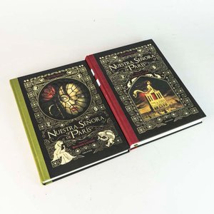 Lote siguiente: 2 Tomos "Nuestra Señora de París" Tapa Dura
