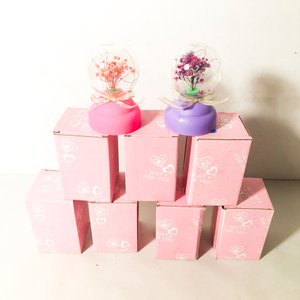 Set de 7 Adornos Decorativos con Luces LED y Flores Secas - imagen 2