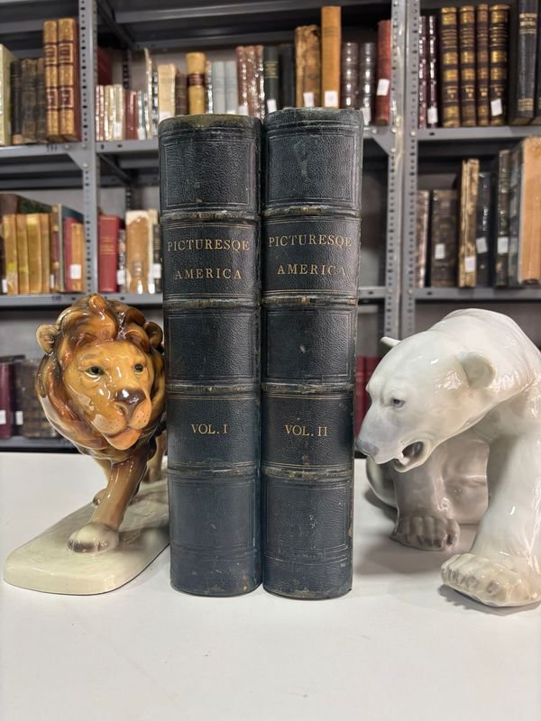 Item 879290 - Image 0