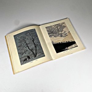 Libro de Xilografía Moderna China, Ediciones en Lenguas Extranjeras, Pekín 1965 - imagen 1