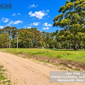 Terreno de 674 m² en La Paloma, Rocha: Limpio, Arbolado y Listo para Construir - imagen 4