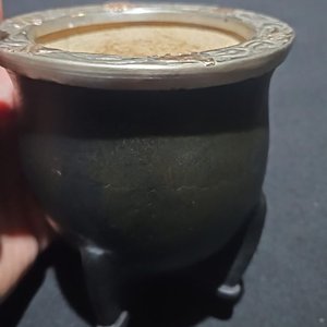Lote anterior: Mate de Plata y Oro con Detalles Florales y de Animales