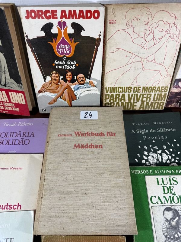 Lote de libros variados para coleccionistas - imagen 1