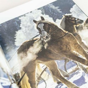 Libro "Caballos: Razas, Culturas, Tradiciones" Tapa Dura - imagen 2