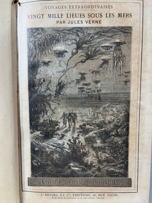 Item 889522 - Image 3