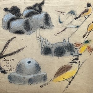 Obra "Dormilón de Cola Larga" de José Cuneo, Pastel sobre Papel - imagen 1