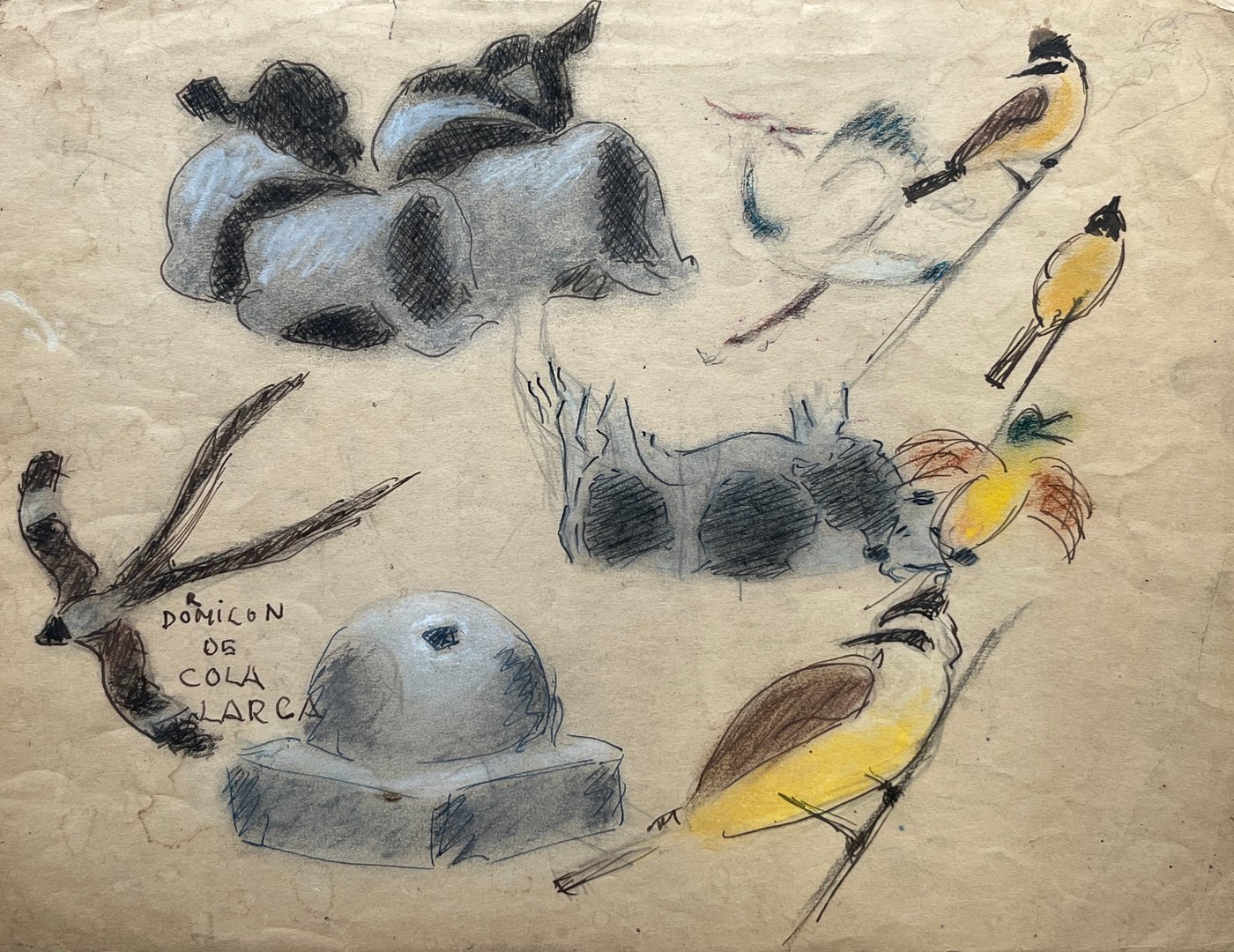 Obra "Dormilón de Cola Larga" de José Cuneo, Pastel sobre Papel